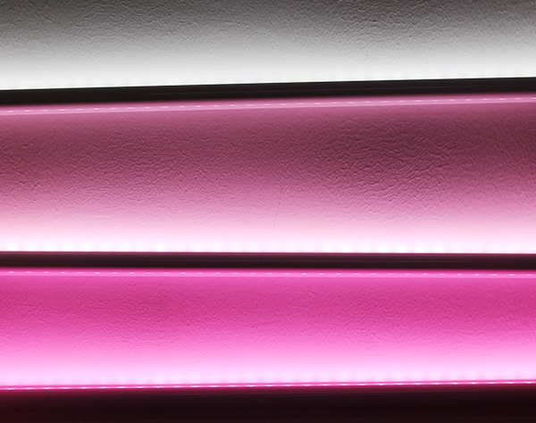 鮮肉柜專用桃紅光歐恩照明X5D 鮮肉柜專用桃紅光歐恩照明X5D